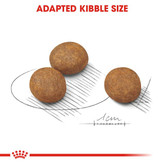 غذای خشک سگ رویال کنین ماکسی پاپی 4 کیلویی